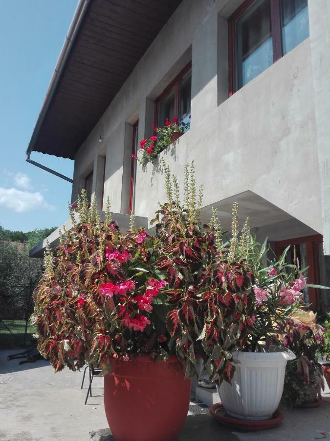 Kalotaszeg Vendeghaz Hotel Izvoru Crisului Exterior photo